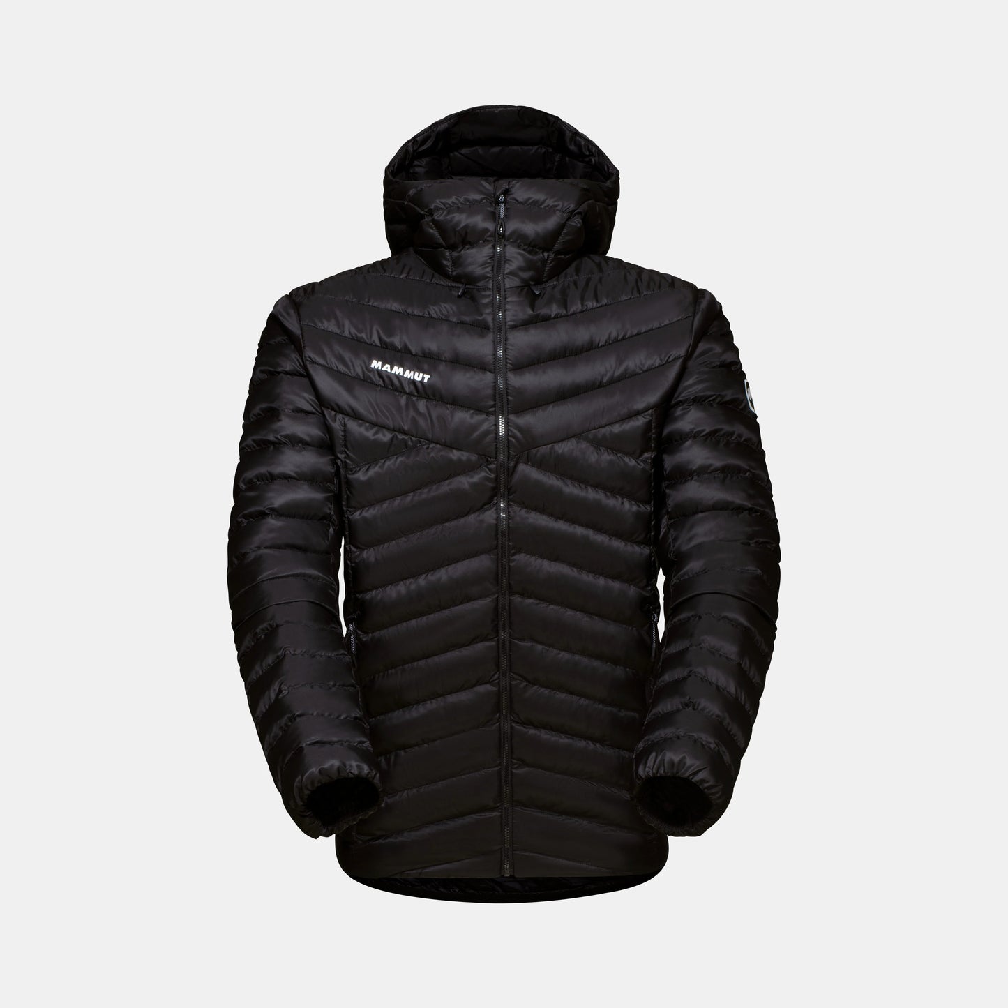 Albula IN Hooded Jacket Men #263096