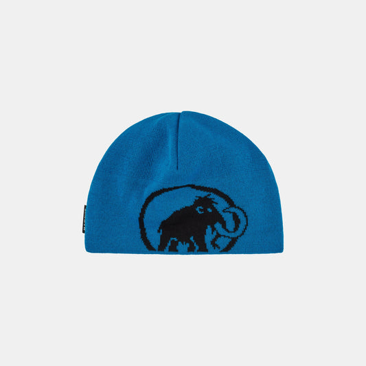 Tweak Beanie #937404