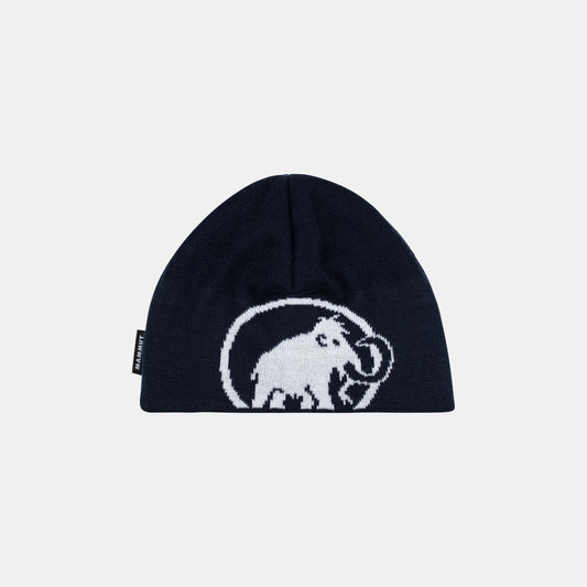 Tweak Beanie #292033